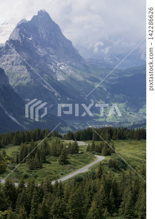 A green valley overlooking sharp rocky peaks A green valley overlooking sharp rocky peaks 142286626