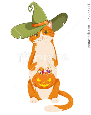 Cat in haloween costume with halloween sweet bucket. Cartoon vector character of kitten in a witch hat with pumpking basket full of candies. Cute pet in funny outfit for party, web, mascot. Isolated o Cat in haloween costume with halloween sweet bucket. Cartoon vector character of kitten in a witch hat with pumpking basket full of candies. Cute pet in funny outfit for party, web, mascot. Isolated o 142286741