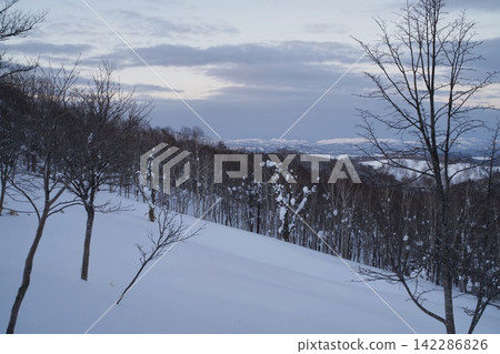 Snow-covered slopes and groves of trees as dusk falls. 142286826
