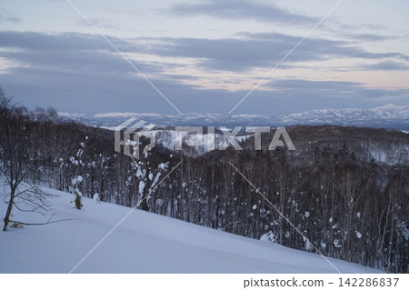 暮色籠罩的天空和雪山上的樹林 暮色籠罩的天空和雪山上的樹林 142286837
