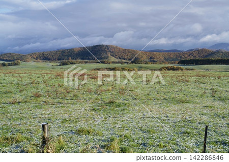 Frost-covered pastures and colorful hills Frost-covered pastures and colorful hills 142286846