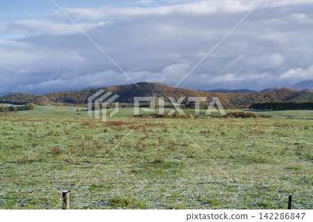 Thick clouds hang low over the autumn pastures. Thick clouds hang low over the autumn pastures. 142286847