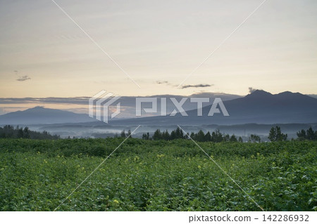 The dawn sky and the mountain range shrouded in clouds The dawn sky and the mountain range shrouded in clouds 142286932