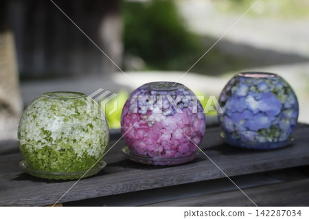 遠州森町極樂寺的繡球花 遠州森町極樂寺的繡球花 142287034