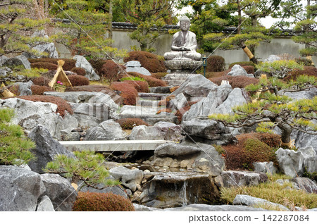 太摩寺:淨土庭園與內殿冬牡丹 太摩寺:淨土庭園與內殿冬牡丹 142287084