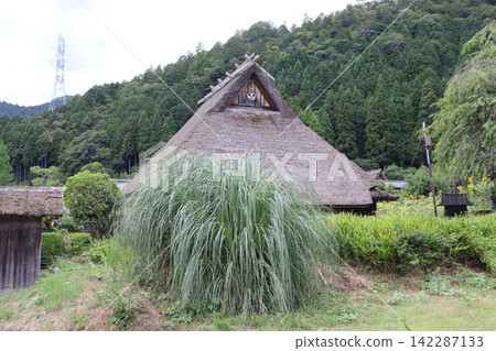 Fresh green scenery of the thatched-roof village in Miyama, Kyoto Prefecture Fresh green scenery of the thatched-roof village in Miyama, Kyoto Prefecture 142287133