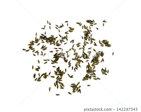Leaf lettuce green seeds 5 Leaf lettuce green seeds 5 142287343