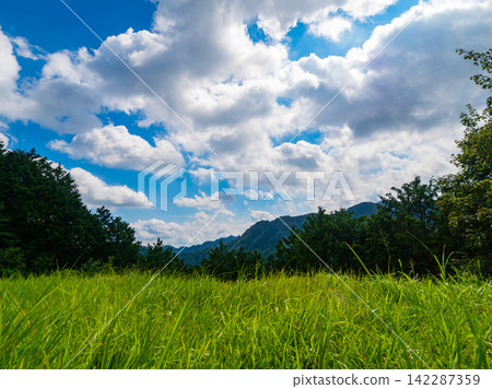 從山路徑的風景 從山路徑的風景 142287359