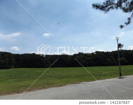 Blue skies and white clouds over the lawn at Inage Seaside Park. Blue skies and white clouds over the lawn at Inage Seaside Park. 142287687
