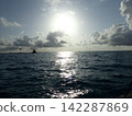 海和太陽 142287869