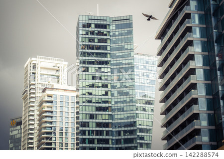 Cityscape and street view of Tel Aviv Cityscape and street view of Tel Aviv 142288574