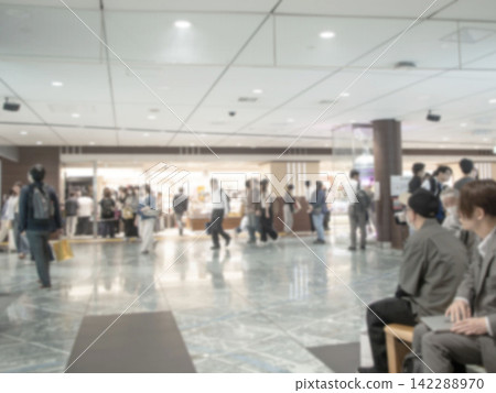 Tokyo Station underground shopping area, station shopping street, pedestrian Tokyo Station underground shopping area, station shopping street, pedestrian 142288970