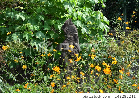 A haiku monument of Basho destroyed by air raids. A haiku monument of Basho destroyed by air raids. 142289211