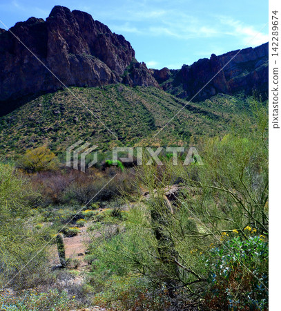 Salt River Recreation Area Arizona Salt River Recreation Area Arizona 142289674