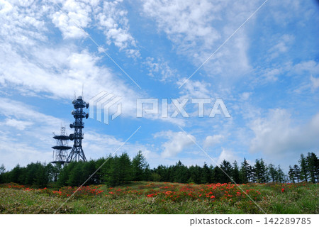 [Mountain scenery] Utsukushigahara Plateau, Nagano Prefecture (2012) 142289785