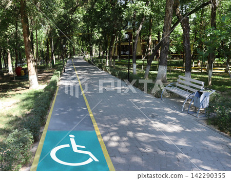 bicycle lane in park bicycle lane in park 142290355
