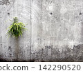 A sterile textured background featuring concrete walls and green plants. 142290520