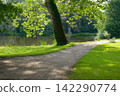 Scenic Walking Path in Summer Park Near Calm Pond. Beautiful Green Lawn with Large Tree and Wooden Bench on Lakeside. 142290774