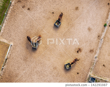 Top-down drone view shows four horses feeding from metal hay boxes inside sandy paddock enclosed by electric fencing. Textured ground, hoof marks and sparse manure create rural equestrian pattern Top-down drone view shows four horses feeding from metal hay boxes inside sandy paddock enclosed by electric fencing. Textured ground, hoof marks and sparse manure create rural equestrian pattern 142291087