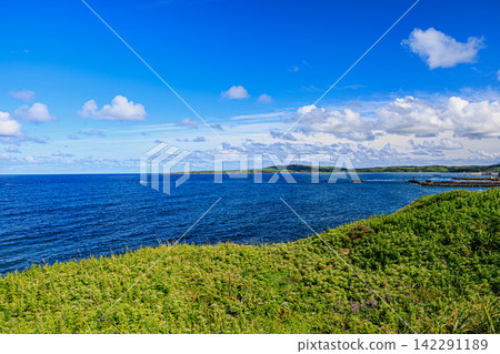 這是利尻禮文佐別越國立公園禮文島金田岬的海岸景色,海鳥在湛藍的天空下翱翔。 這是利尻禮文佐別越國立公園禮文島金田岬的海岸景色,海鳥在湛藍的天空下翱翔。 142291189