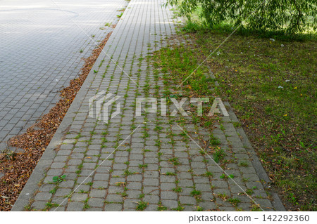 Nature Reclaiming Urban Sidewalk as Grass Grows Between Concrete Paving Stones Nature Reclaiming Urban Sidewalk as Grass Grows Between Concrete Paving Stones 142292360