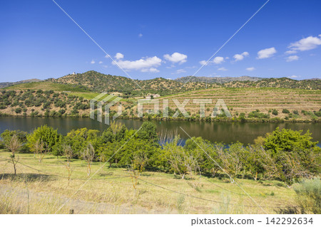 Typical Douro landscape near Pocinho, UNESCO site, Vila Nova de Foz Coa, Alto Douro wine region, Portugal 142292634