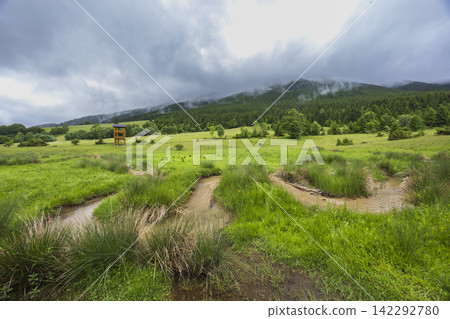 Spring of Hron, Horehronie, Low Tatras, Slovakia Spring of Hron, Horehronie, Low Tatras, Slovakia 142292780