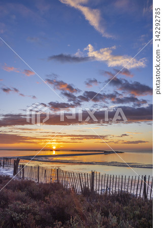 Typical landscape during sunrise in Parc Naturel regional de Camargue, Provence, France 142292785