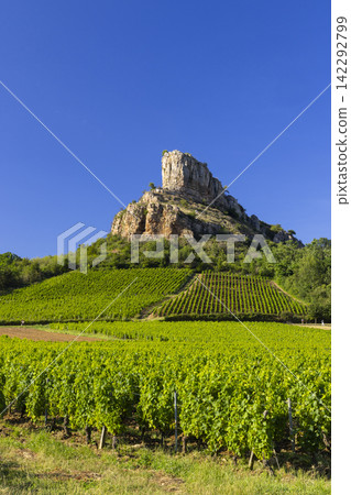 Rock of Solutre with vineyards, Burgundy, Solutre-Pouilly, France Rock of Solutre with vineyards, Burgundy, Solutre-Pouilly, France 142292799