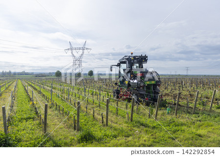 Tractor working in vineyard using inter row cultivator for sustainable agriculture in Burgundy, France Tractor working in vineyard using inter row cultivator for sustainable agriculture in Burgundy, France 142292854