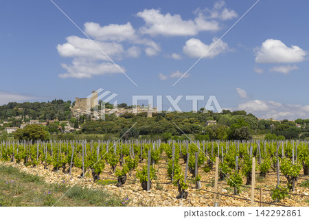 Typical vineyard with stones near Chateauneuf-du-Pape, Cotes du Rhone, France Typical vineyard with stones near Chateauneuf-du-Pape, Cotes du Rhone, France 142292861