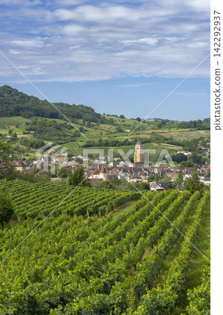 Vineyards with Arbois town, Department Jura, Franche-Comte, France Vineyards with Arbois town, Department Jura, Franche-Comte, France 142292937