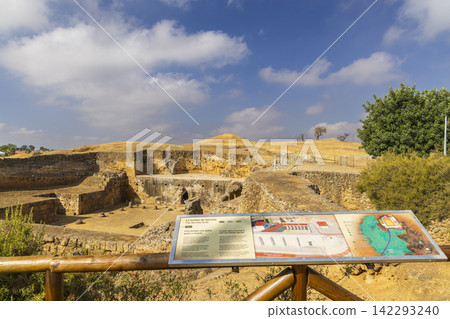 Roman Necropolis of Carmona showing ancient tombs and burial chambers in Andalusia, Spain 142293240