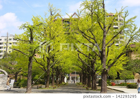 Oasis in the city 142293295
