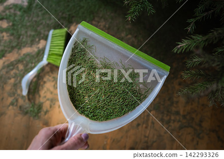 Hand holding dustpan with fallen Christmas tree needles Hand holding dustpan with fallen Christmas tree needles 142293326