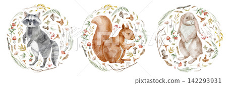 Woodland animals watercolor illustration set with racoon, squirrel and rabbit in floral circle frames isolated on background. Forest fall clipart for nursery, baby designs and autumn posters. 142293931
