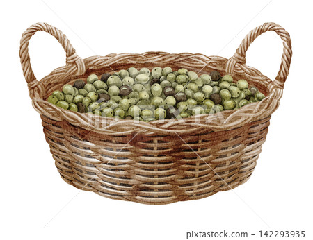 Olive basket watercolor illustration with fresh green fruits in a woven wicker container isolated on background. Mediterranean harvest clipart for food, farm, market and rustic designs. 142293935