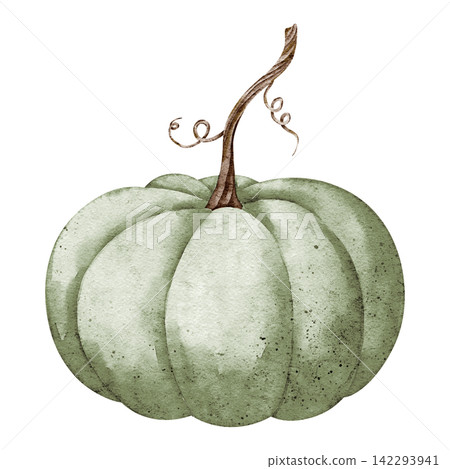 Pumpkin watercolor illustration of a green ribbed autumn vegetable isolated on background. Harvest clipart with gourd for Thanksgiving invitation, fall, farm, garden, food and seasonal designs. Pumpkin watercolor illustration of a green ribbed autumn vegetable isolated on background. Harvest clipart with gourd for Thanksgiving invitation, fall, farm, garden, food and seasonal designs. 142293941
