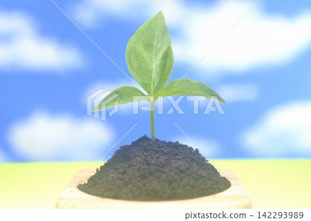 萌芽的春天：生態影像 142293989