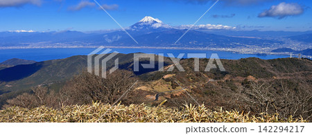 A panoramic view of snow-covered Mt. Fuji from the summit of Mt. Daruma on the Izu mountain ridge trail of the Izu Peninsula. A panoramic view of snow-covered Mt. Fuji from the summit of Mt. Daruma on the Izu mountain ridge trail of the Izu Peninsula. 142294217