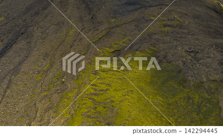 Top-down view of moss-covered lava field with water channels, Skaft?rhreppur Iceland 142294445
