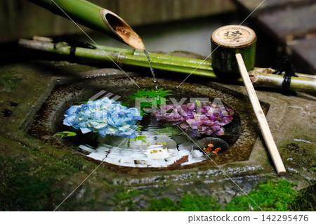 京都柳屋觀音陽國寺的花水盆 京都柳屋觀音陽國寺的花水盆 142295476
