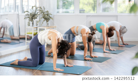 Woman performing Cat Cow Pose in group yoga studio Woman performing Cat Cow Pose in group yoga studio 142295512
