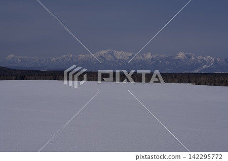 View of winter plains and white mountain ranges View of winter plains and white mountain ranges 142295772