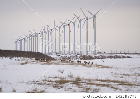 A snowfield lined with windmills and a herd of Hokkaido deer. A snowfield lined with windmills and a herd of Hokkaido deer. 142295775
