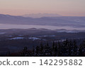 Snow-capped mountains and coniferous forests bathed in the soft morning light 142295882