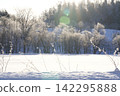 A forest covered in frost and a quiet snowfield. 142295888