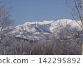Snow-capped mountains and winter trees rising against a blue sky. 142295892