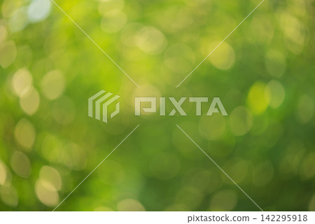 Defocused green natural background as backdrop. Blurred plants. Defocused green natural background as backdrop. Blurred plants. 142295918