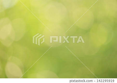Abstract natural background. Defocused green natural background as backdrop. Blurred plants. Abstract natural background. Defocused green natural background as backdrop. Blurred plants. 142295919